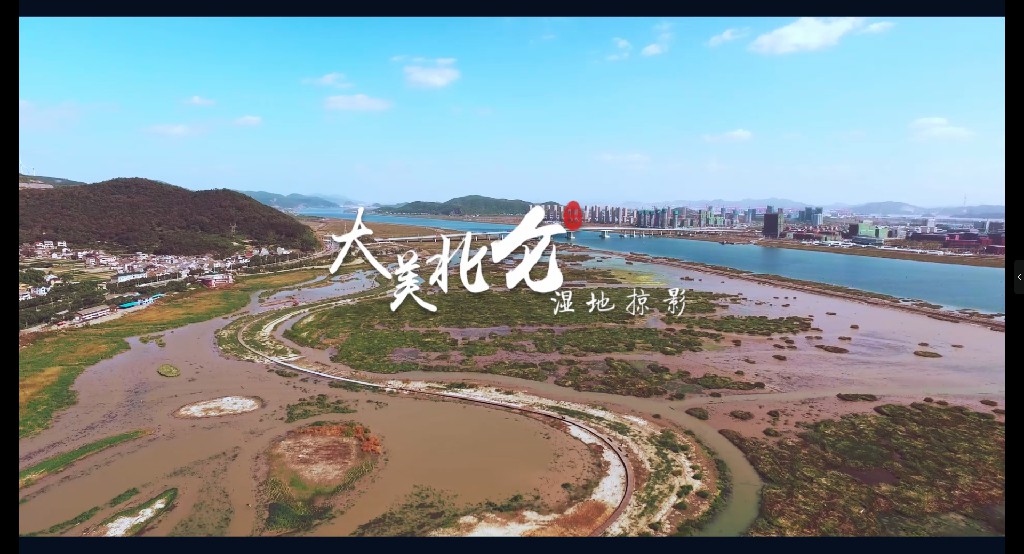 大美北仑 | 湿地掠影——《走在街头》摄制组